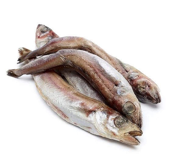 Рыба и морепродукты