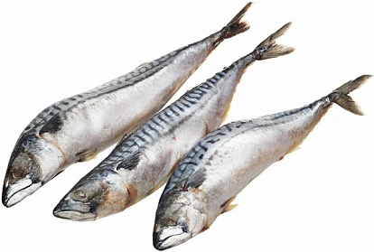 Скумбрия свежемороженая неразделанная ~1 кг